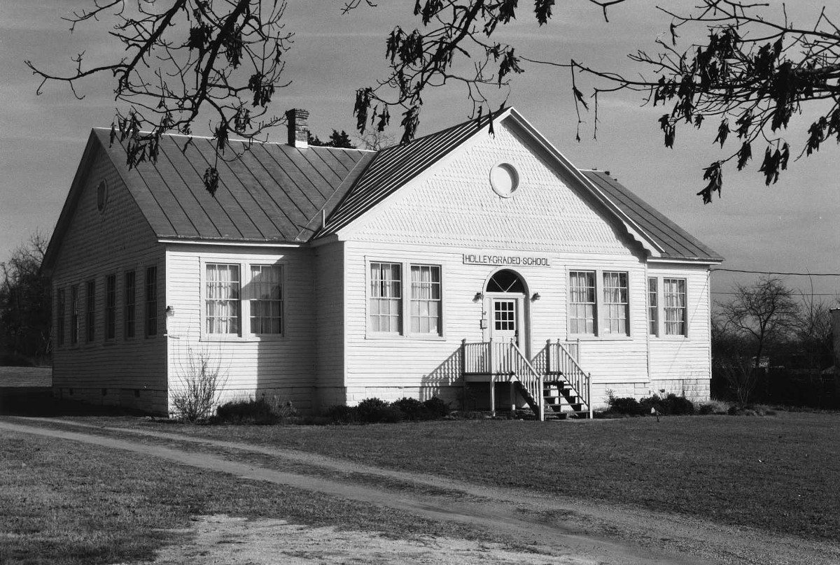 [Phót~ó cré~dít: D~HR, cá~ 1996]